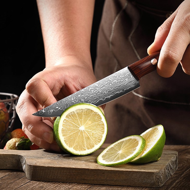 DS-2971B 67 Layer Damascus steel Forged Blade Paring Knife Rosewood Handle Fruit Knife Wholesale (6)