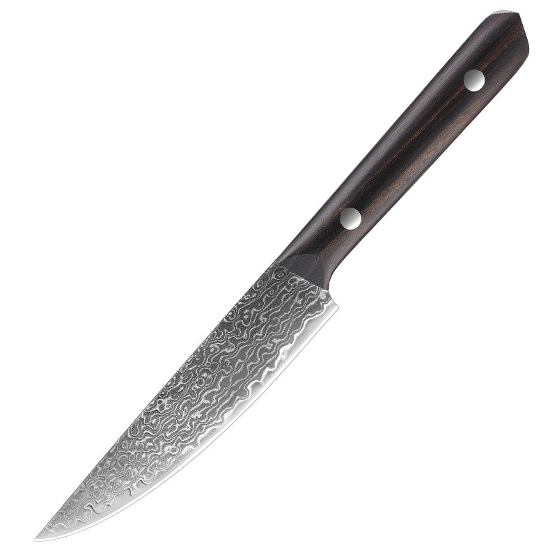 3.5-Inch Damascus Steel Fruit Knife